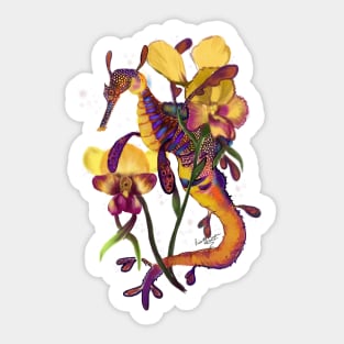 Weedy Sea Dragon and Orchids Sticker